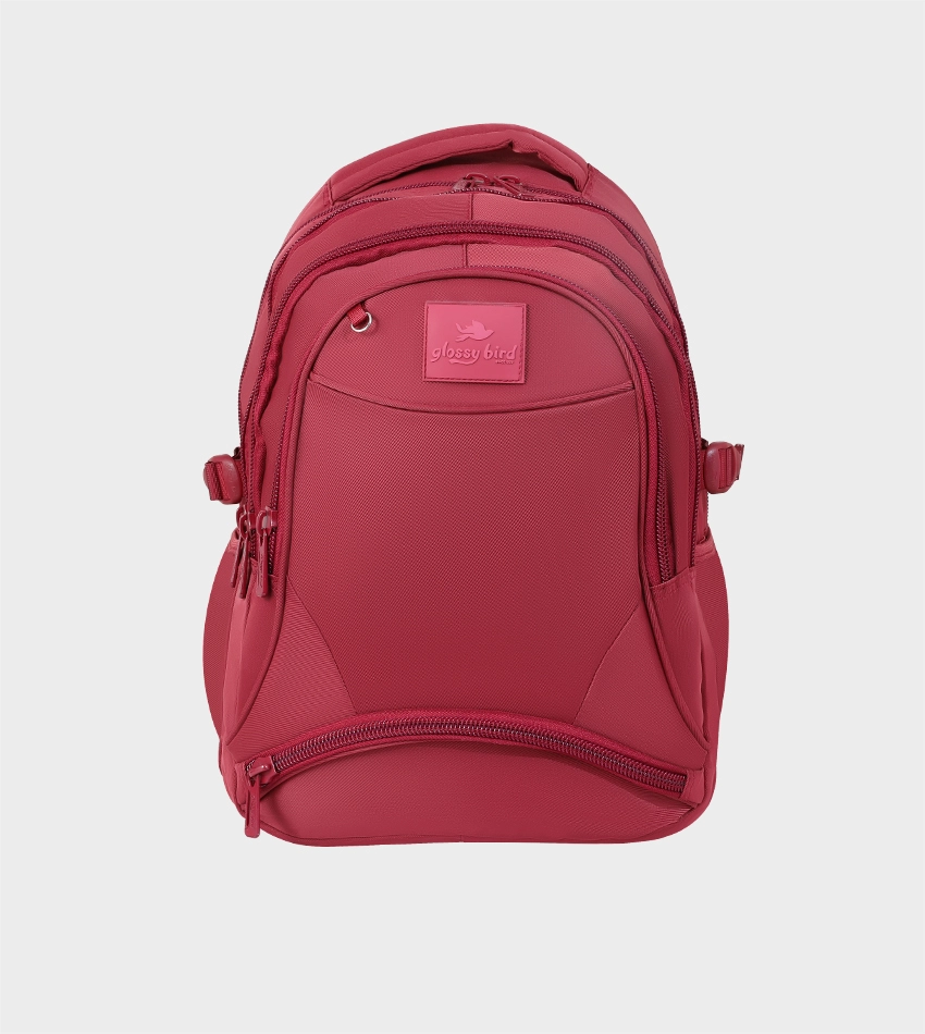 School Backpack GB5500-2